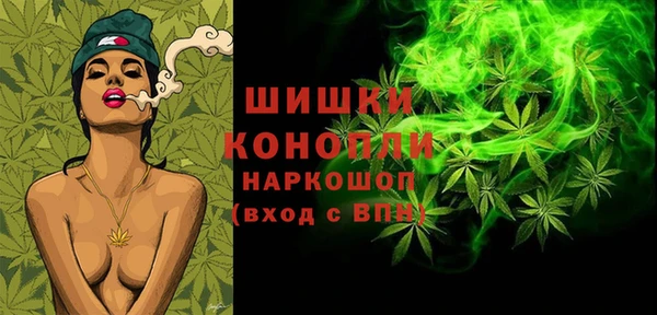 шишки Алексин