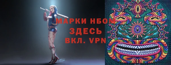 шишки Алексин