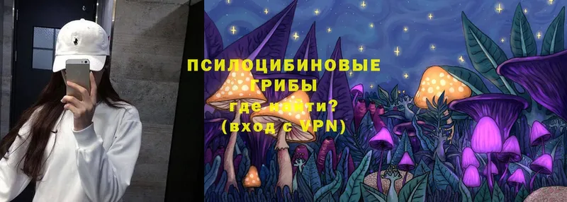 Галлюциногенные грибы MAGIC MUSHROOMS  KRAKEN зеркало  сайты даркнета Telegram  Глазов 