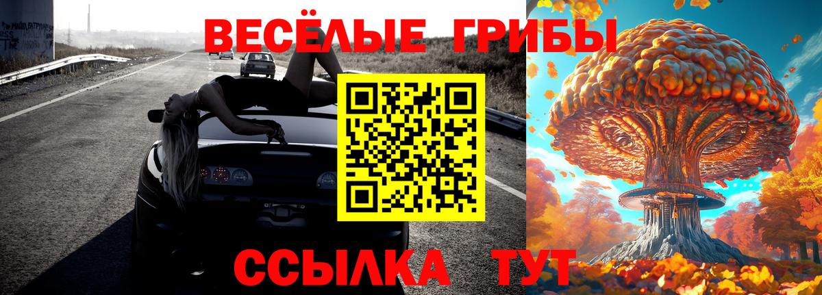 Глазов  Галлюциногенные грибы Psilocybine cubensis  Вход с VPN 